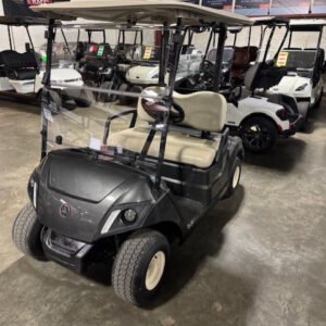 2018 Yamaha Drive 2 QuieTech Gas