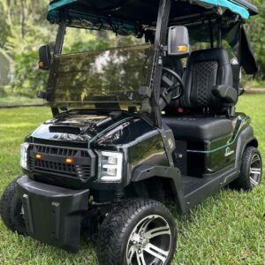 Custom Drive (C2) Golf Cart – Lithium Upgrade