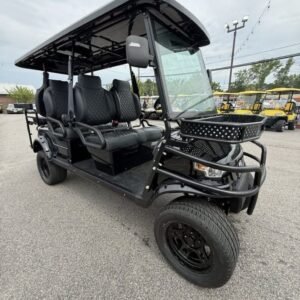EPIC CARTS E60-L (2025)