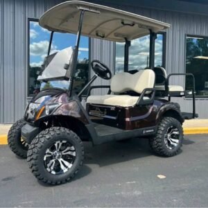 2020 Yamaha Drive2 EFI Gas Golf Cart